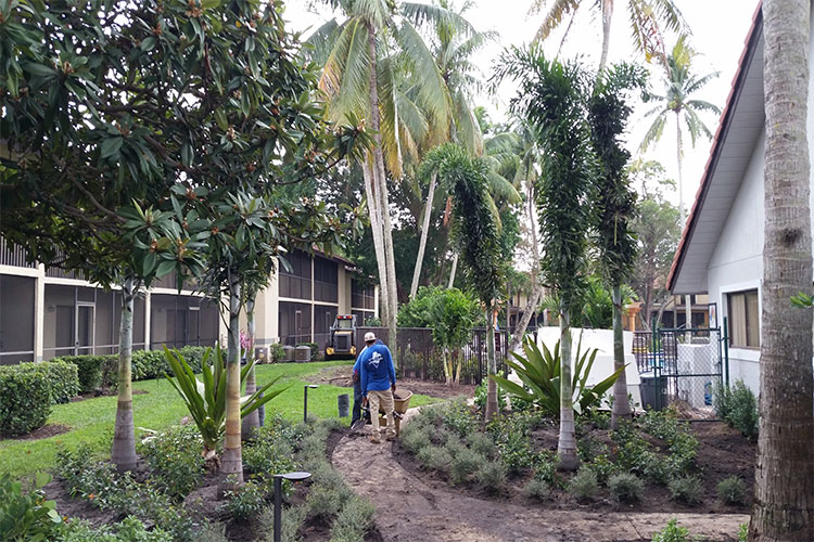 Commercial Landscaping Services in Florida